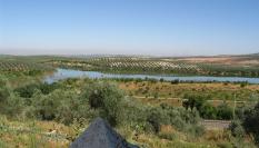 Panorámica de la Laguna de Zóñar.