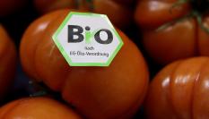 Tomates con la marca Bio de la Unión Europea.