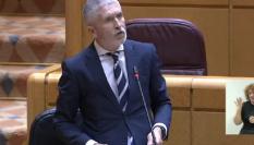 Grande-Marlaska, este martes en el Senado