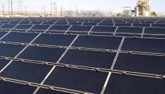 Paneles solares en un campo solar instalado den Estados Unidos.