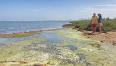 Los ecologistas culpan de la contaminación del Mar Menor a los pesticidas que usan los agricultores de Murcia.