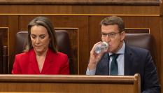 La secretaria general del PP, Cuca Gamarra y el presidente del PP, Alberto Nuñez Feijoo, en una imagen de archivo en el Congreso.