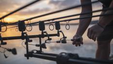 Preparación de aparejos de pesca de carpa, en una imagen de archivo.