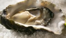 La ostra se considera un alimento afrodisiaco.