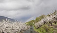 Imagen de archivo del Valle del Jerte.