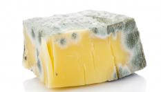 Pieza de queso cubierta de moho.
