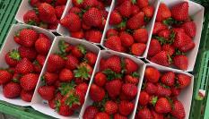 Imagen de archivo de fresas en una frutería.