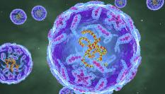 Ilustración del virus de la poliomielitis