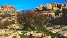 Parque Nacional El Torcal, en Antequera (Málaga).