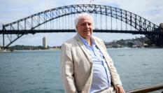 El magnate, Clive Palmer.