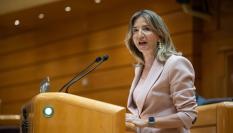 Alicia García, anunciando la presentación del conflicto de competencias