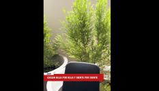 El vídeo publicado por @Ireneramirezzz