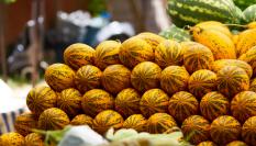 Imagen de archivo de melones marroquíes.