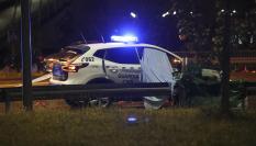 La Guardia Civil en el lugar donde se ha detenido al vecino del concejo de Ribera de Arriba.