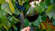 Una copa de vino tinto.