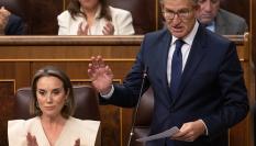 El líder del Partido Popular, Alberto Núñez Feijóo,en una imagen de archivo en el Congreso.