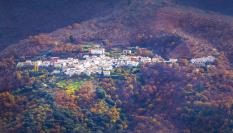 Imagen de archivo de Parauta.