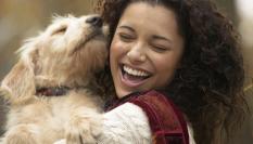 Los perros suelen ser animales cariñosos que se muestran felices cuando reciben caricias y abrazos, pero siempre hay excepciones.