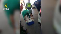 Imágenes del traslado del corazón