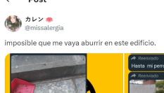 El tuit de @missalergia