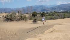 Imagen de la vegetación de las Dunas de Maspalomas, en Gran Canaria