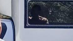 Daniel Sancho, a su llegada al juicio el 30 de abril de 2024.