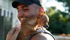 Un chihuahua con su dueño