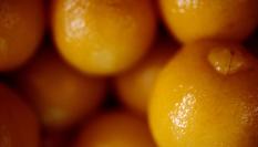 Limones en conserva en Larache, Marruecos.