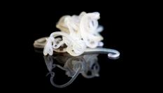 Imagen de archivo de gusanos de Anisakis.