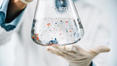 Un estudio encuentra la presencia de microplásticos en testículos de perros y humanos