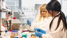 Crea un "nanokiller" inteligente contra bacterias y otros patógenos.