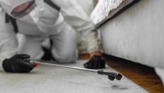 Un hombre desinfectando contra las cucarachas.