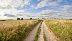 Imagen de archivo de un sendero.