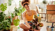 Un sistema de riego automático para las plantas es ideal para los días en que se está fuera de casa