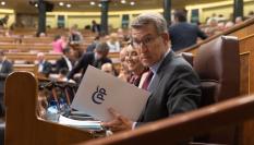 El líder del Partido Popular, Alberto Núñez Feijóo, en una sesión de un pleno del Congreso.