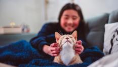 Un gato con su dueña.