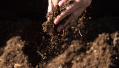 Logran desalar el agua subterránea para uso agrícola