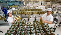 Operarios de una fábrica en la que se produce de aceite de oliva empaquetan el producto.