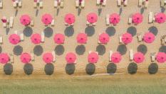 Aluvión de sombrillas