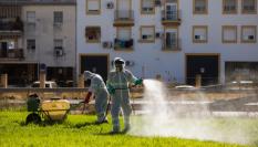 Trabajadores fumigando espacios públicos y jardines en Coria del Río (Sevilla), para prevenir el avance del virus del Nilo.