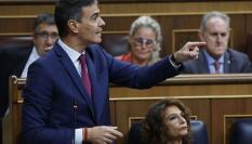 El presidente del Gobierno, Pedro Sánchez interviene en la sesión de control celebrada este miércoles en el Congreso.