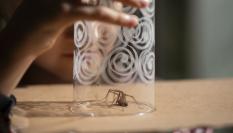 Una niña captura una araña que ha entrado en su hogar.