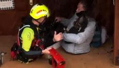 Captura de video que muestra un integrante de las fuerzas de socorro rescatando a una mujer dentro de una inundación en Valencia.