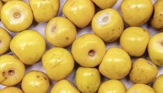 Vista exterior del nanche.