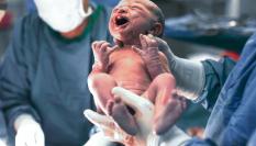 Bebé recién nacido.