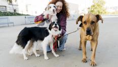 Una mujer, con tres perros