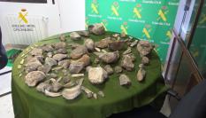 La Guardia Civil recupera más de 100 restos de mamuts expoliados de un yacimiento de Granada.