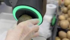 Detalle de la máquina que sabe si un aguacate está listo para que se lo coman.