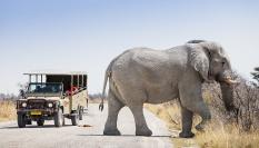 Un elefante cruza una carretera ante la atenta mirada de un grupo de turistas en el Parque Nacional Etosha, Namibia