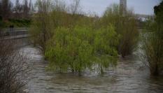 El río Manzanares, a niveles de récord en Madrid